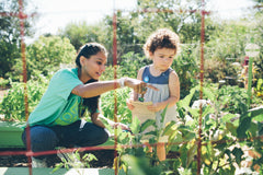 Eco-Tots Series {SOLD OUT}