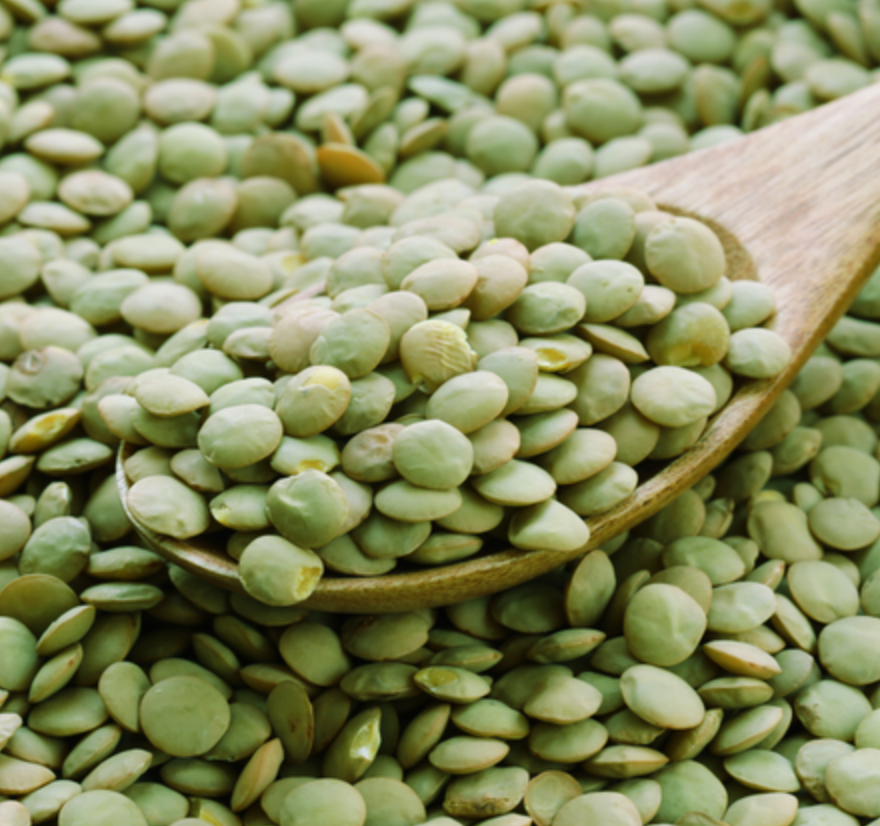 Organic Green Lentils | Kandarian Farms