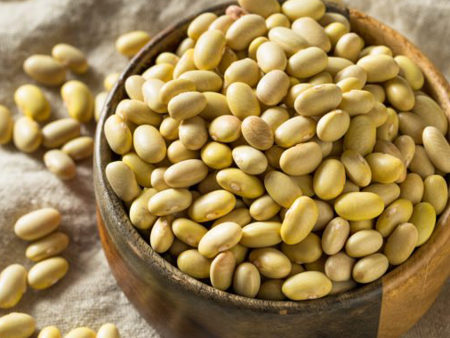 Organic Mayocoba Beans | The Ecology Center