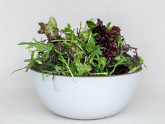 The Ecology Center | Salad Mix