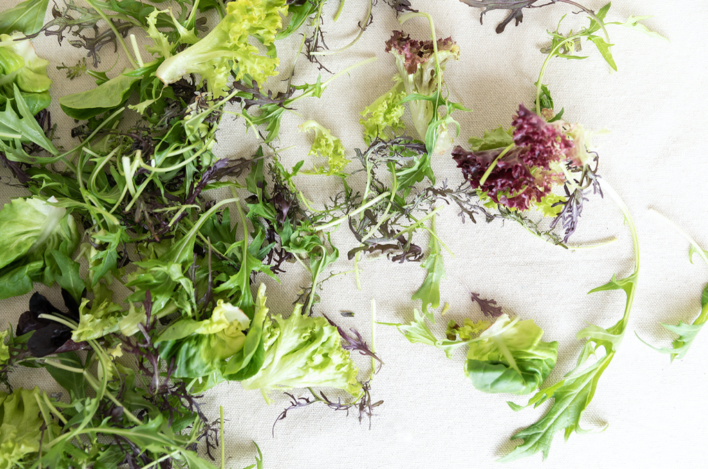 The Ecology Center | Salad Mix