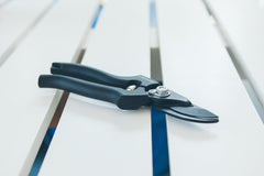 Hand Pruner